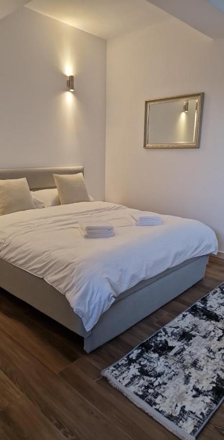 Modern House Hotel Sighetu Marmatiei Ngoại thất bức ảnh